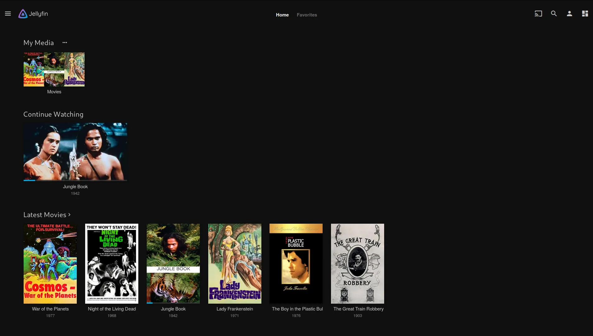 /stream-your-own-music-collection/images/Jellyfin.webp